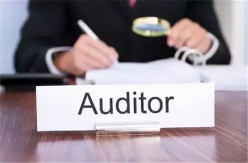 互聯(lián)網(wǎng)電子商務(wù)企業(yè)應(yīng)對(duì)財(cái)報(bào)審計(jì)風(fēng)險(xiǎn)的建議