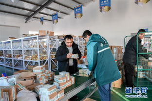 打造產(chǎn)業(yè)園區(qū)，賦能農(nóng)產(chǎn)品銷(xiāo)售，構(gòu)建電子商務(wù)新生態(tài)